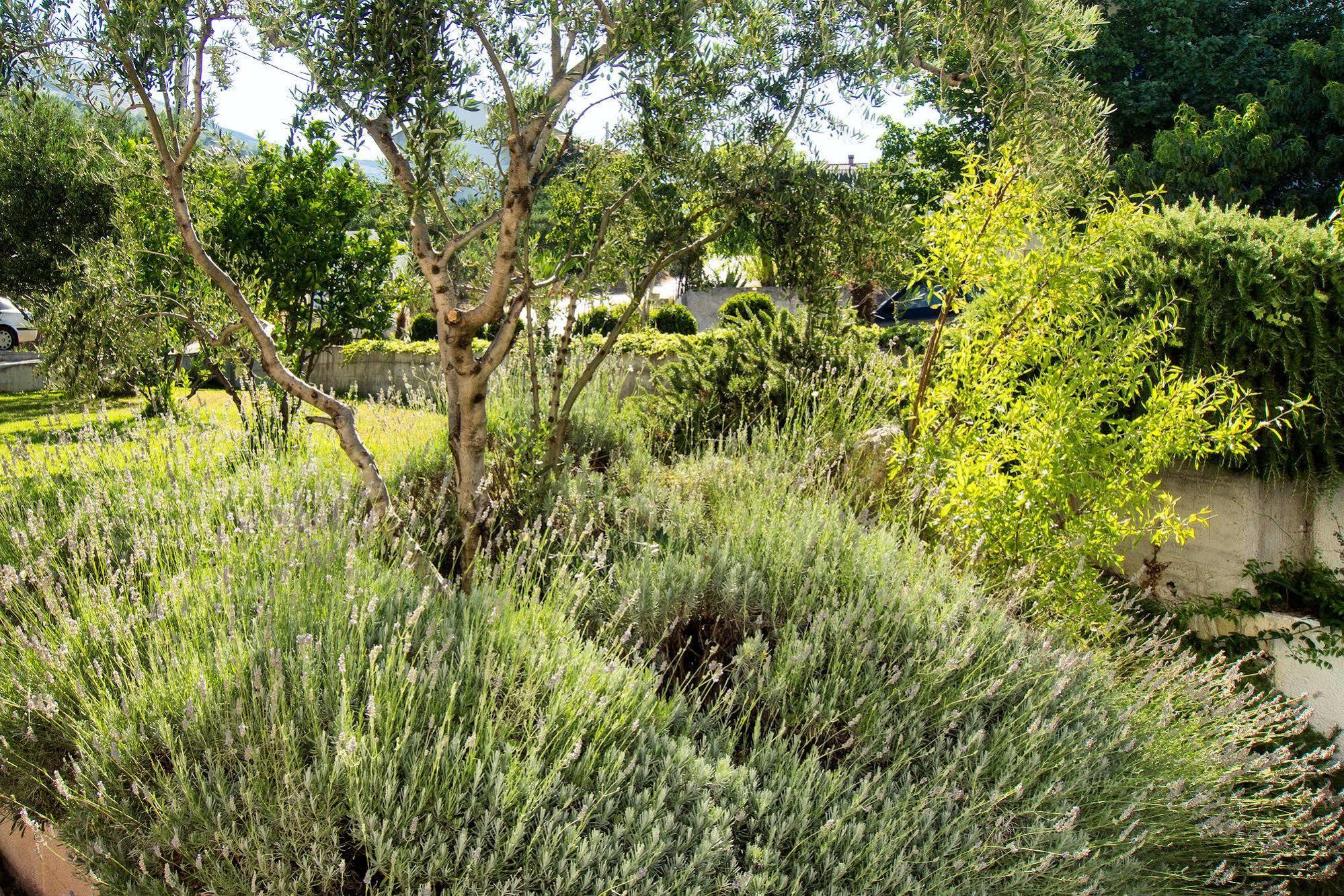 Villa Lavanda Podstrana Eksteriør billede